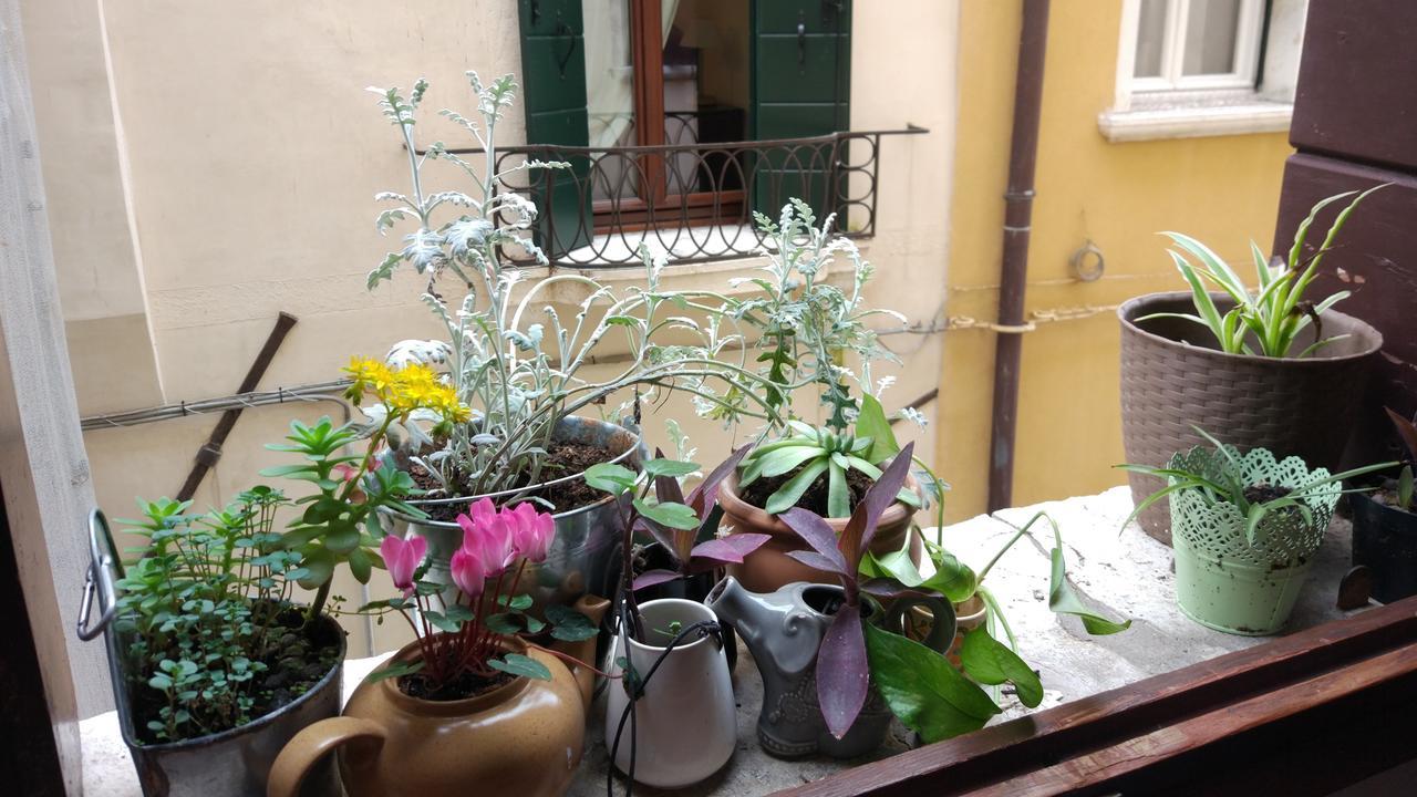 The Academy Hostel Venice Luaran gambar